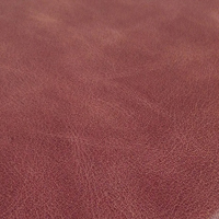 Distressed Garnet Leather Sample