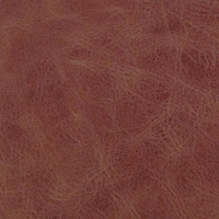 Distressed Russet Leather Sample