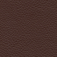 Classic Chestnut Leather Sample