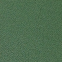 Classic Evergreen Leather Sample