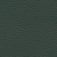 Classic Forest Green Leather Sample