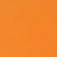 Classic Pumpkin Orange Leather Sample