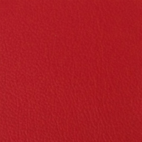 Classic Rosa Red Leather Sample